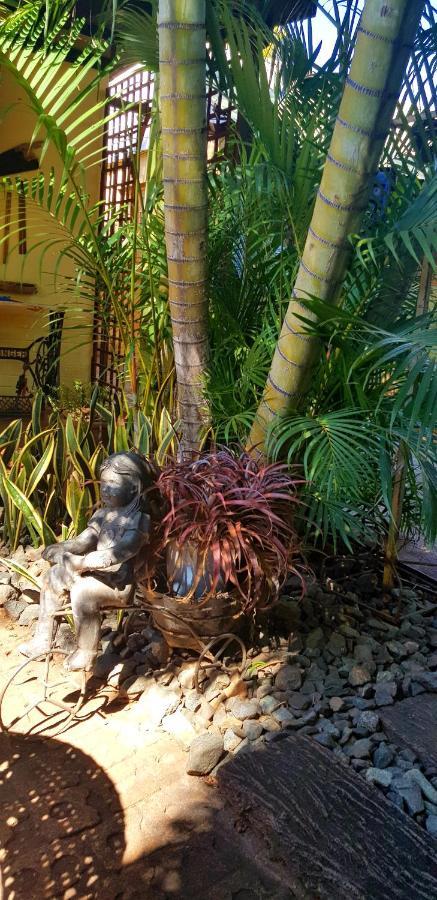 Mookgophong Africas Eden Guesthouse מראה חיצוני תמונה