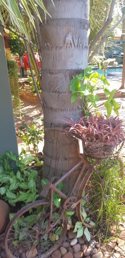 Mookgophong Africas Eden Guesthouse מראה חיצוני תמונה